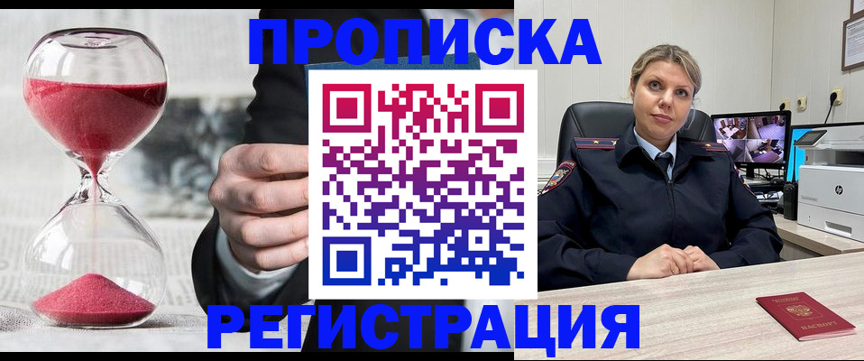 прописка поиск в Шлиссельбурге